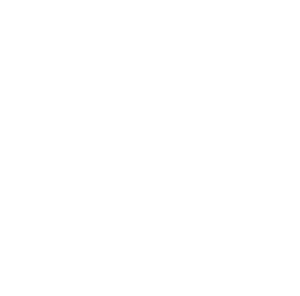Car Elevator – Express Electro Elevators Limited